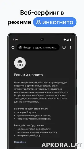 Google Chrome скриншот 3